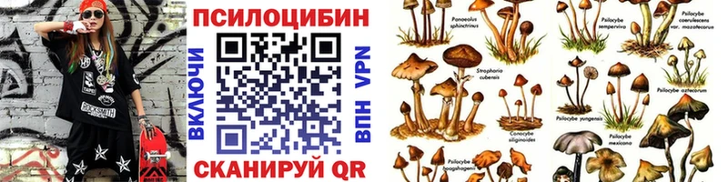 Псилоцибиновые грибы Cubensis  Купить  Боровск 