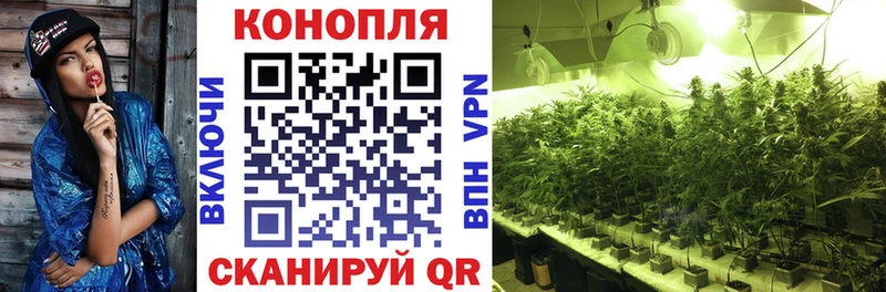 Канабис планчик  Купить где  Боровск 